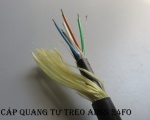 Quy tắc đánh dấu mầu sợi và ống lỏng cáp quang ADSS. Ứng dụng cáp adss!