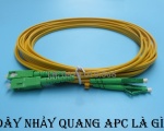 Dây nhảy quang singlemode APC là gì? Giải pháp sử dụng dây nhảy quang SC/APC