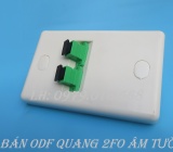 Địa điểm bán hộp phối quang ODF 2fo, 2 core, 2 sợi âm tường giá rẻ nhất thị trường